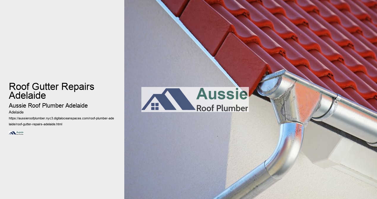 Roof Gutter Repairs Adelaide